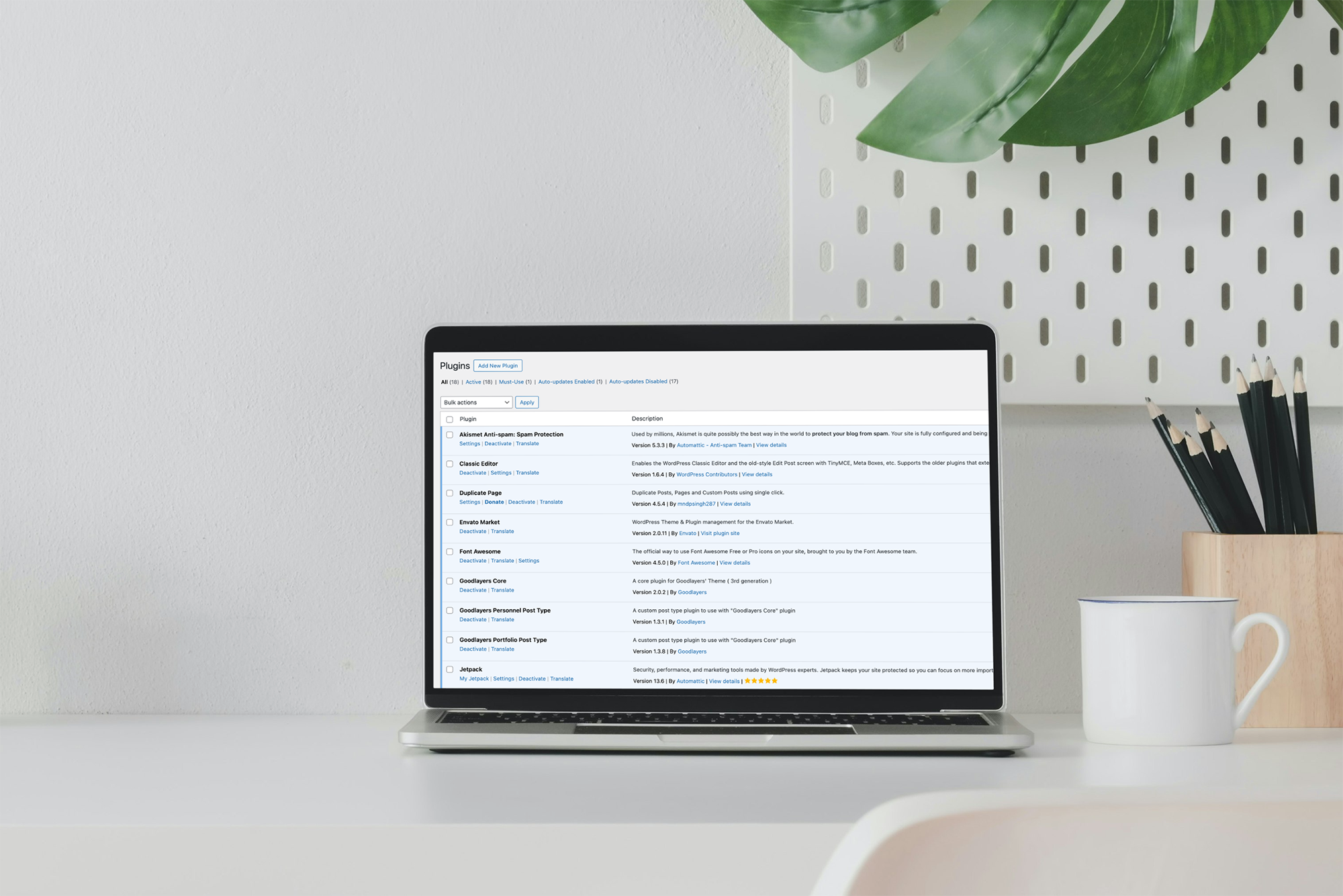 5 must have Wordpress Plugins for your website